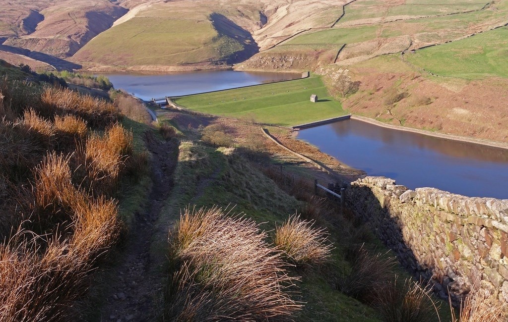 Naden Reservoir walking with Spice the Social Group