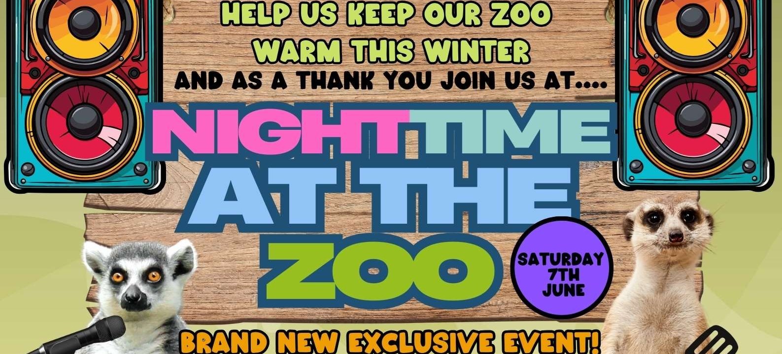 Night Time Zoo