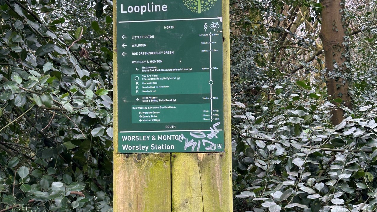 Roe Green loop line 2