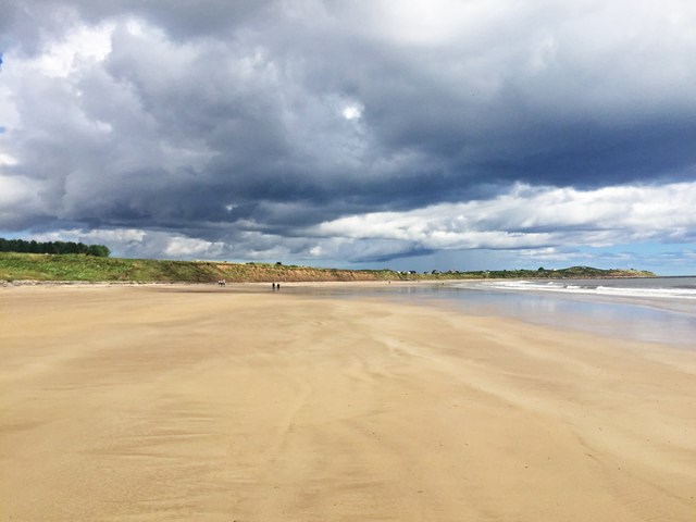 Alnmouth and Northumbrian Coast1