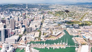 NZ Day 4 Auckland highlights tour