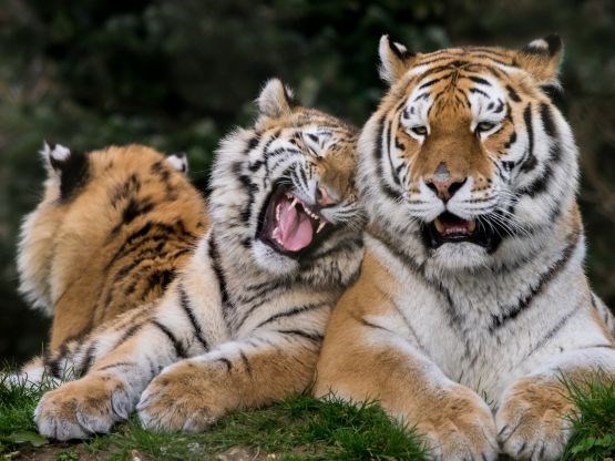 main5c2af3a253fc4ecfae11ee2849303df5