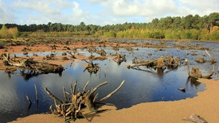 Blakemere Cuddington Walk with Spice