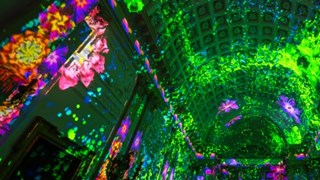 Eonarium Enlightenment Light Show