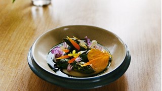 Where the Light Gets In Pickles