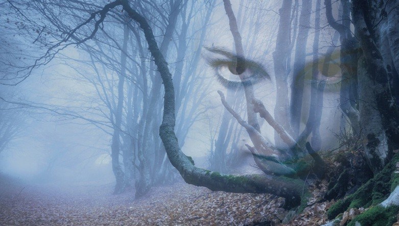 The Crucible Altrincham Garrick Landscape