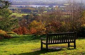 lickey hills autumnal