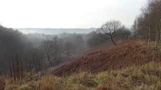 Clifton Country Park, The Outwood Trail and Hurst Wood 1