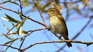 Join us as we explore Cutacre Country Park on a social walk