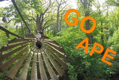 Tree Top Challenge At Go Ape Bracknell Spice Thames Valley Solent Tree Top Challenge At Go Ape Bracknell Spice Thames Valley Solent