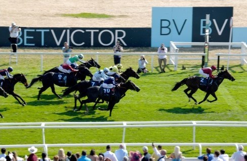 olly murs newbury races3