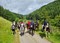 Horse Riding Weekend for Beginners, Improvers + Experienced Riders