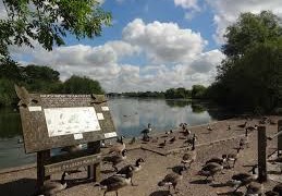 dinton pastures (1)