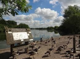 Dinton Pastures Coffee and stroll