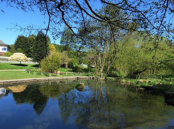 Golden Acre Park Leeds Pond