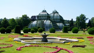 vienna schonbrunn palmhouse2481208