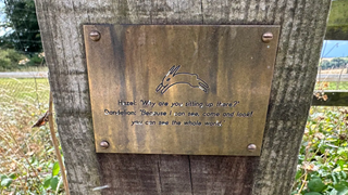 Watership down