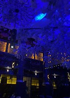 Spice South Coast Dines at Shanghai 1814 in Southampton