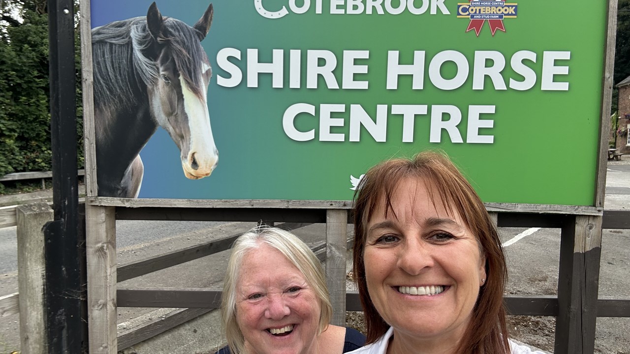 Cotebrook Shires 3