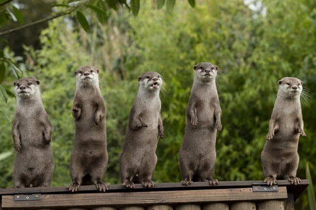 b25lY21zOmVjOGQyMDcxLTg2ZTAtNDEzMC05Y2IyLWY5N2Y4ZDk5YTg0Nzo1YWI4M2I5YS05ZTlhLTRmZTItOTljMS01YzIzOTVlYzEzYWM=