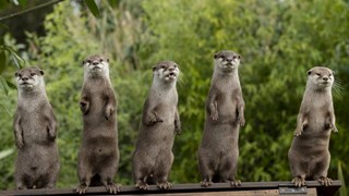 b25lY21zOmVjOGQyMDcxLTg2ZTAtNDEzMC05Y2IyLWY5N2Y4ZDk5YTg0Nzo1YWI4M2I5YS05ZTlhLTRmZTItOTljMS01YzIzOTVlYzEzYWM=