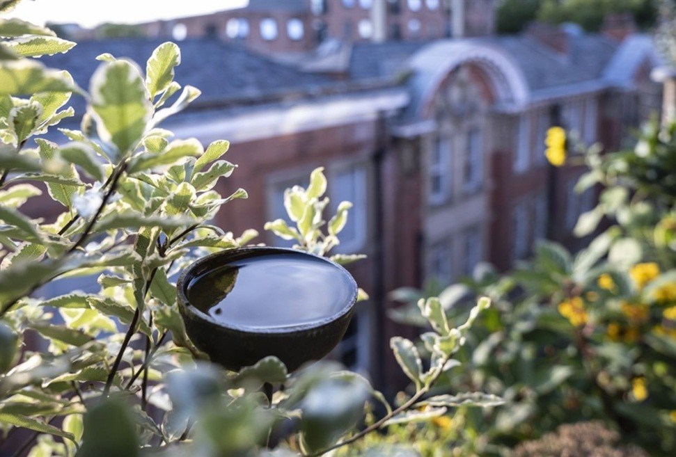 Manchester Flower Festival 2026 Sky Garden
