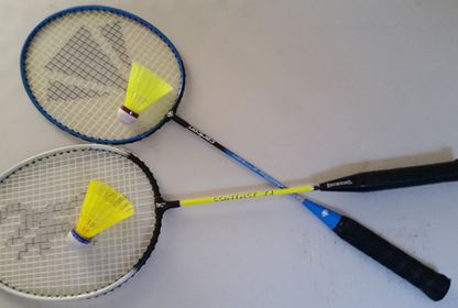 Sports Badminton (6)