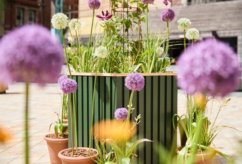 Manchester Flower Festival 2026 The Urban Pollinator Garden