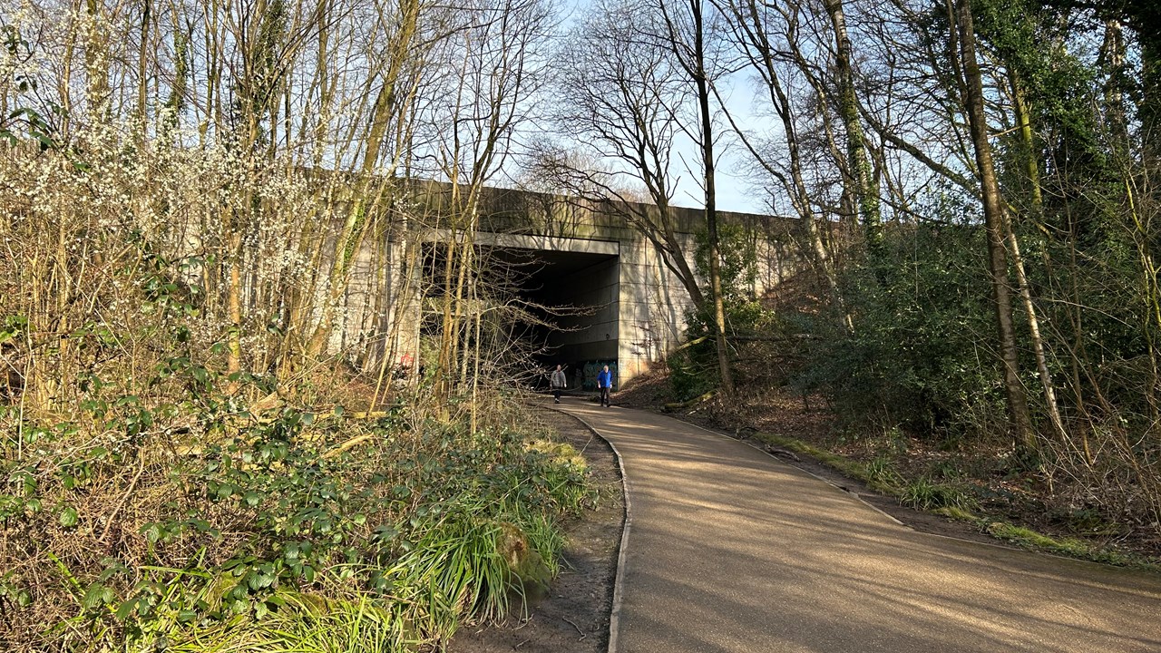 Roe Green Tyldesley Loopline 2
