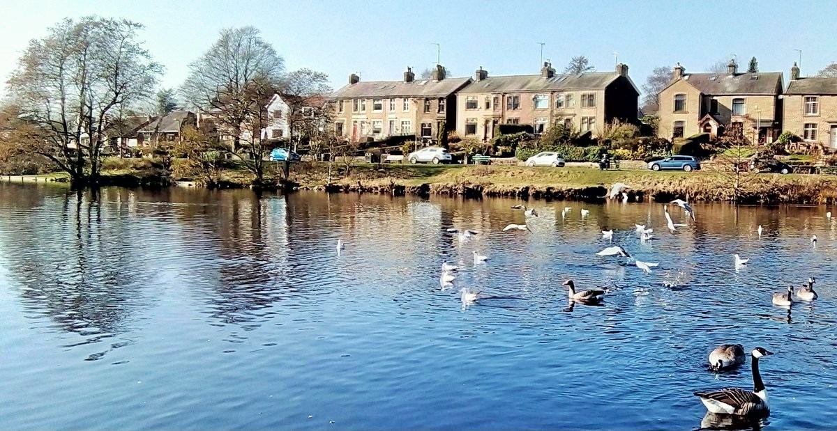 Wheelton & Withnell Fold Walk Brinscall Pond