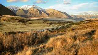 NZ Day 11 Tranz Alpine Train