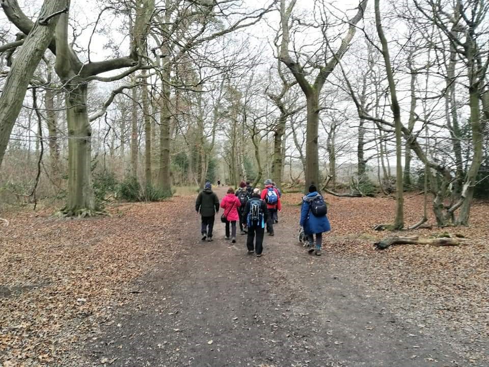 Highgate to Tottenham