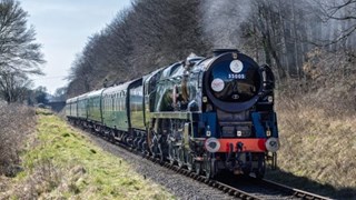 Watercress line7