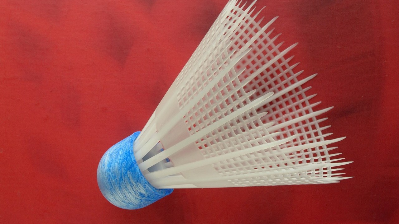Sports Badminton (13)