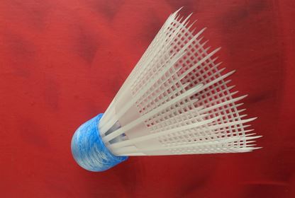 Sports Badminton (13)