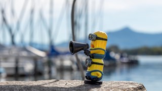 minion flood