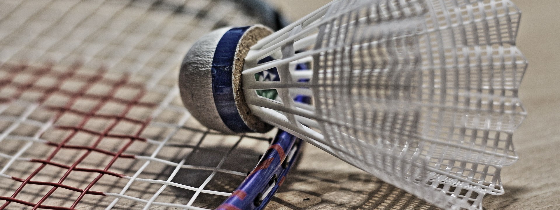 Sports Badminton (9)