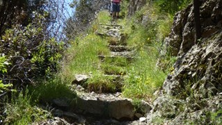 Walk sorrento2