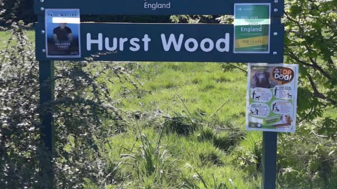 Clifton Country Park, The Outwood Trail and Hurst Wood 4