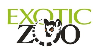 Night Time Zoo 3