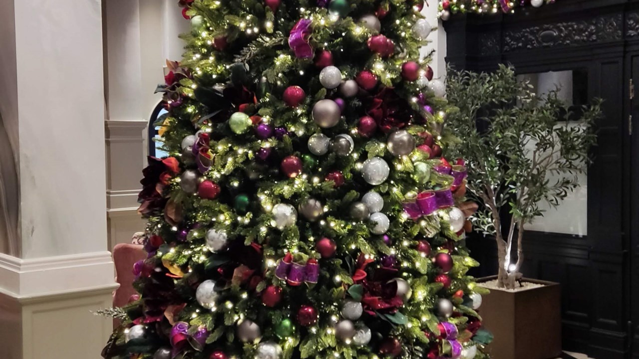 Leeds Met Hotel Christmas Tree