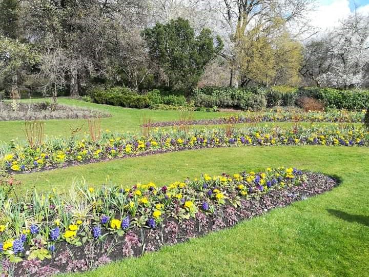 Linda Charing Cross Kensington