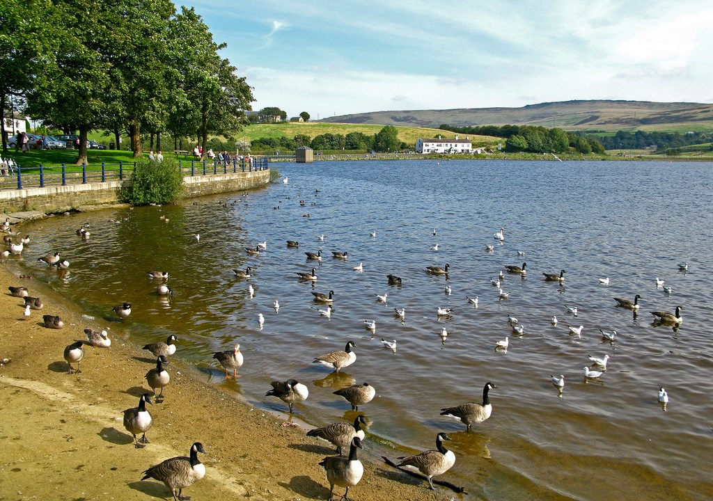 hollingworth lake