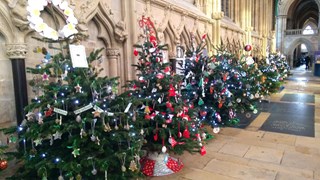 Beverley Minster Christmas Trees