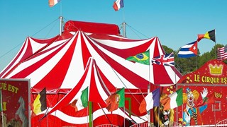 Circus from Pixabay Free