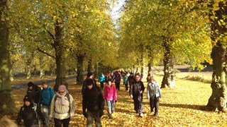 Sherwood forest and Clumber Park