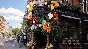 Mr Fogg's botanical Tavern
