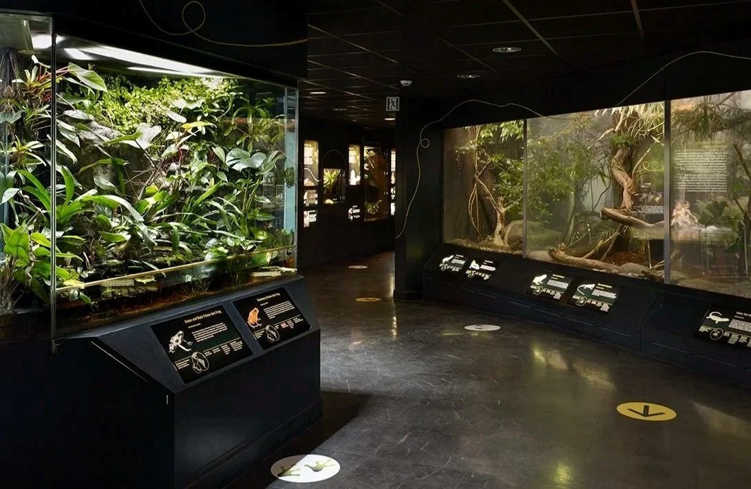 Manchester Museum Oxford Road Vivarium