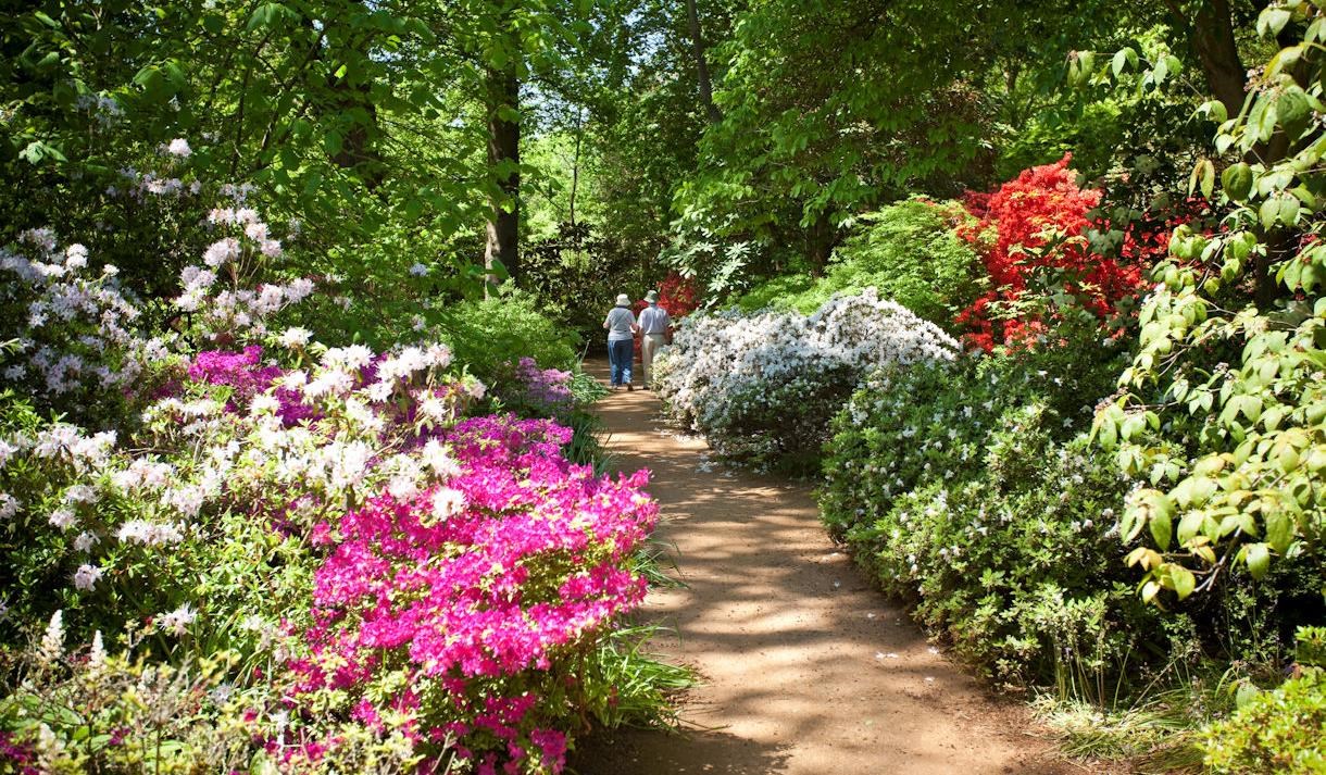 Saville Garden 4