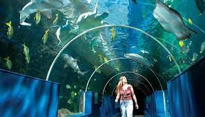 bournemouth Oceanarium